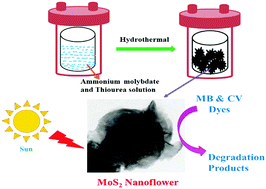 Graphical abstract: Green synthesis of MoS2 nanoflowers for efficient degradation of methylene blue and crystal violet dyes under natural sun light conditions