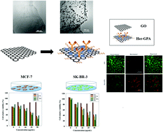 Graphical abstract: Optimizing the hybrid nanostructure of functionalized reduced graphene oxide/silver for highly efficient cancer nanotherapy