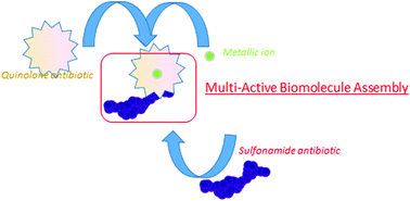 Graphical abstract: New model of metalloantibiotic: synthesis, structure and biological activity of a zinc(ii) mononuclear complex carrying two enrofloxacin and sulfadiazine antibiotics
