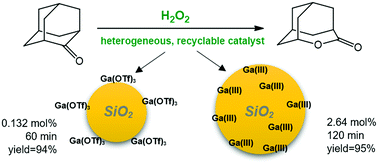 Graphical abstract: Water-tolerant solid Lewis-acid sites: Baeyer–Villiger oxidation with hydrogen peroxide in the presence of gallium-based silica catalysts