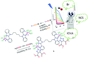 Graphical abstract: IClick cycloaddition reaction of light-triggered manganese(i) carbonyl complexes