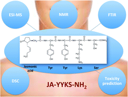 Graphical abstract: A conjugate of jasmonic acid and tetrapeptide Tyr-Tyr-Lys-Ser-NH2 as a potential ingredient for skin care products – synthesis and characterization