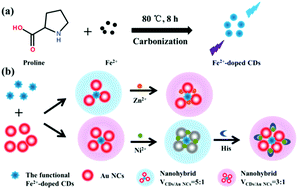 Graphical abstract: One-pot synthesis of highly fluorescent Fe2+-doped carbon dots for a dual-emissive nanohybrid for the detection of zinc ions and histidine