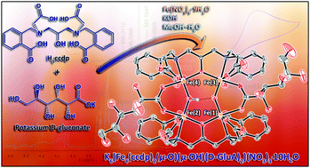 Graphical abstract: Crystal structure of gluconate bound iron(iii) complex: synthesis, characterization and redox properties of the complex in aqueous solution