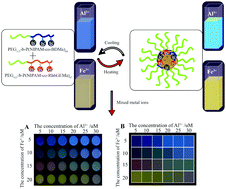 Graphical abstract: Mixed polymeric micelles as a multifunctional visual thermosensor for the rapid analysis of mixed metal ions with Al3+ and Fe3+