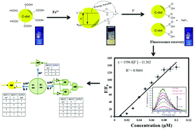 Graphical abstract: Implementation of a logic gate by chemically induced nitrogen and oxygen rich C-dots for the selective detection of fluoride ions