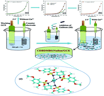 Graphical abstract: Development of a selective and sensitive Ga3+ sensor for environmental safety: a comparative study of cyclohexyl and aromatic bis-sulphonamide fabricated glassy carbon electrodes