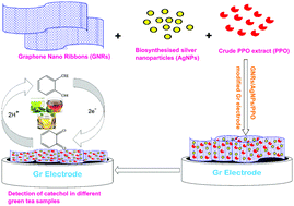 Graphical abstract: A biosensor based on a graphene nanoribbon/silver nanoparticle/polyphenol oxidase composite matrix on a graphite electrode: application in the analysis of catechol in green tea samples