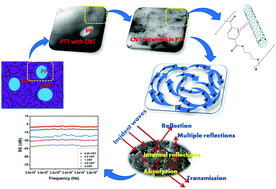 Graphical abstract: An effective EMI shielding material based on poly(trimethylene terephthalate) blend nanocomposites with multiwalled carbon nanotubes
