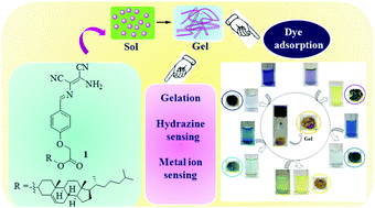 Graphical abstract: Diaminomalenonitrile-decorated cholesterol-based supramolecular gelator: aggregation, multiple analyte (hydrazine, Hg2+ and Cu2+) detection and dye adsorption