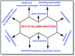 Graphical abstract: The Baylis–Hillman reaction: a new continent in organic chemistry – our philosophy, vision and over three decades of research