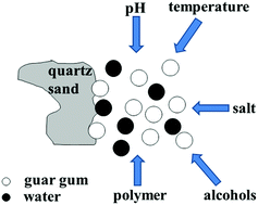 Graphical abstract: Adsorption behavior of carboxymethyl guar gum onto quartz sand
