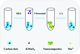 Graphical abstract: A facile fluorescence assay for rapid and sensitive detection of uric acid based on carbon dots and MnO2 nanosheets