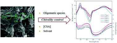 Graphical abstract: Supramolecular chirality control via self-assembly of oligoaniline in the chemical oxidative polymerization process