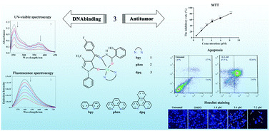 Graphical abstract: Copper(ii) complexes with 4-acyl pyrazolone derivatives and diimine coligands: synthesis, structural characterization, DNA binding and antitumor activity