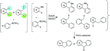Graphical abstract: Scope of regioselective Suzuki reactions in the synthesis of arylpyridines and benzylpyridines and subsequent intramolecular cyclizations to azafluorenes and azafluorenones