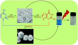 Graphical abstract: Zn(ii)–nucleobase metal–organic nanofibers and nanoflowers: synthesis and photocatalytic application