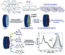 Graphical abstract: A bimetallic nanoparticle/graphene oxide/thionine composite-modified glassy carbon electrode used as a facile ratiometric electrochemical sensor for sensitive uric acid determination
