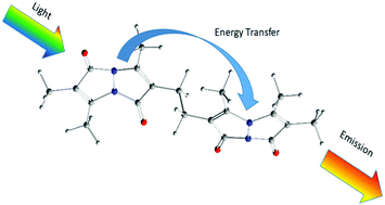 Graphical abstract: Computational modelling of singlet excitation energy transfer: a DFT/TD-DFT study of the ground and excited state properties of a syn bimane dimer system using non-empirically tuned range-separated functionals