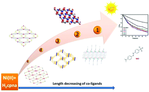 Graphical abstract: Structural assembly from 1D to 3D motivated by the linear co-ligands, and the magnetic and photocatalytic properties of five NiII coordination polymers with 5-(4′-carboxylphenyl)nicotinic acid