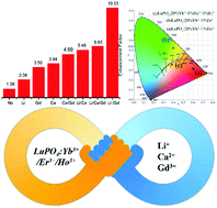 Graphical abstract: Enhanced upconversion luminescence in LuPO4:Ln3+ phosphors via optically inert ions doping