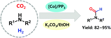 Graphical abstract: Ethanol-mediated N-formylation of amines with CO2/H2 over cobalt catalysts
