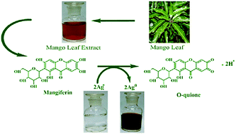 Graphical abstract: Low-temperature biosynthesis of silver nanoparticles using mango leaf extract: catalytic effect, antioxidant properties, anticancer activity and application for colorimetric sensing