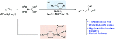 Graphical abstract: 4-Cyanopyridine-catalyzed anti-Markovnikov selective hydroboration of alkenes