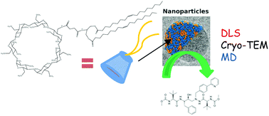 Graphical abstract: Nanoparticles based on lipidyl-β-cyclodextrins: synthesis, characterization, and experimental and computational biophysical studies for encapsulation of atazanavir
