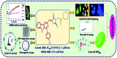 Graphical abstract: Synthesis and in vitro cytotoxicity evaluation of β-carboline-linked 2,4-thiazolidinedione hybrids: potential DNA intercalation and apoptosis-inducing studies