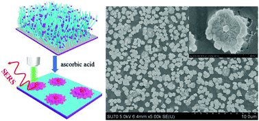 Graphical abstract: Fried egg-like Au mesostructures grown on poly(4-vinylpyridine) brushes grafted onto graphene oxide