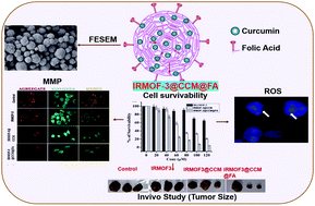 Graphical abstract: Fabrication of curcumin-loaded folic acid-tagged metal organic framework for triple negative breast cancer therapy in in vitro and in vivo systems