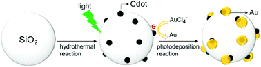 Graphical abstract: Photodeposition of gold nanoparticles on silica nanospheres using carbon dots as excellent electron donors