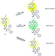 Graphical abstract: A highly selective and sensitive fluorescent chemosensor for distinguishing cadmium(ii) from zinc(ii) based on amide tautomerization