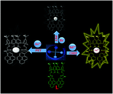Graphical abstract: Single-step fluorescence recognition of As3+, Nd3+ and Br− using pyrene-linked calix[4]arene: application to real samples, computational modelling and paper-based device