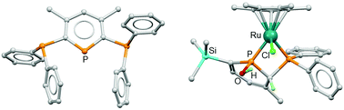 Graphical abstract: Two isomers of a bis(diphenylphosphino)phosphinine, and the synthesis and reactivity of Ru arene/Cp* phosphinophosphinine complexes