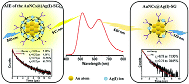 Graphical abstract: Synthesis and properties of Au–Ag bimetallic nanoclusters with dual-wavelength emission