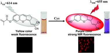 Graphical abstract: A novel near-infrared fluorescent probe with a “donor–π–acceptor” type structure and its application in the selective detection of cysteine in living cells