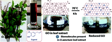 Graphical abstract: The novel and efficient reduction of graphene oxide using Ocimum sanctum L. leaf extract as an alternative renewable bio-resource