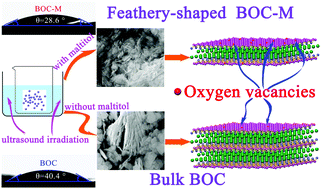 Graphical abstract: Ultrasound-assisted synthesis of a feathery-shaped BiOCl with abundant oxygen vacancies and efficient visible-light photoactivity