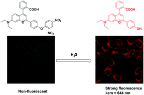 Graphical abstract: A novel long-wavelength fluorescent probe for selective detection of hydrogen sulfide in living cells