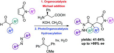 Graphical abstract: Combining organocatalysis with photoorganocatalysis: photocatalytic hydroacylation of asymmetric organocatalytic Michael addition products