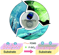 Graphical abstract: Facile spraying fabrication of highly flexible and mechanically robust superhydrophobic F-SiO2@PDMS coatings for self-cleaning and drag-reduction applications
