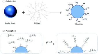 Graphical abstract: Synthesis of dendrimer functionalized adsorbents for rapid removal of glyphosate from aqueous solution
