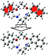 Graphical abstract: A new fluorescent macrocyclic nano-chemosensor for Fe3+ and I− in aqueous solution
