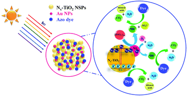 Graphical abstract: Green synthesis of porous Au–Nx-TiO2 nanospheres for solar light induced photocatalytic degradation of diazo and triazo dyes and their eco-toxic effects