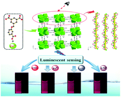 Graphical abstract: Multi-responsive luminescent sensor based on three dimensional lanthanide metal–organic framework
