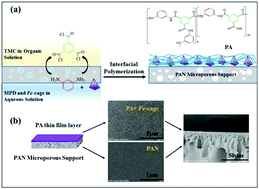 Graphical abstract: Porous metal–organic molecular cage: a promising candidate to highly improve the nanofiltration performance of thin film nanocomposite membranes