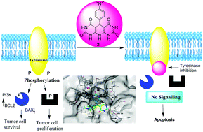 Graphical abstract: DIPEAc promoted one-pot synthesis of dihydropyrido[2,3-d:6,5-d′]dipyrimidinetetraone and pyrimido[4,5-d]pyrimidine derivatives as potent tyrosinase inhibitors and anticancer agents: in vitro screening, molecular docking and ADMET predictions