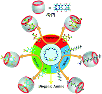 Graphical abstract: Supramolecular self-assemblies of inverted cucurbit[7]uril with biogenic amines